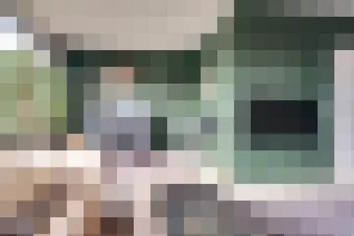 Oostervelden 65 Bemmel thumbnail 7