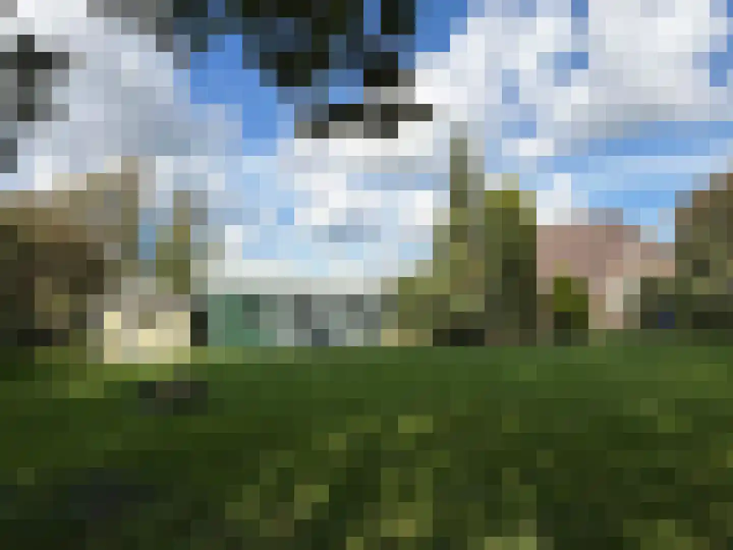 Oosterveldsestraat 136 Emmen thumbnail 17
