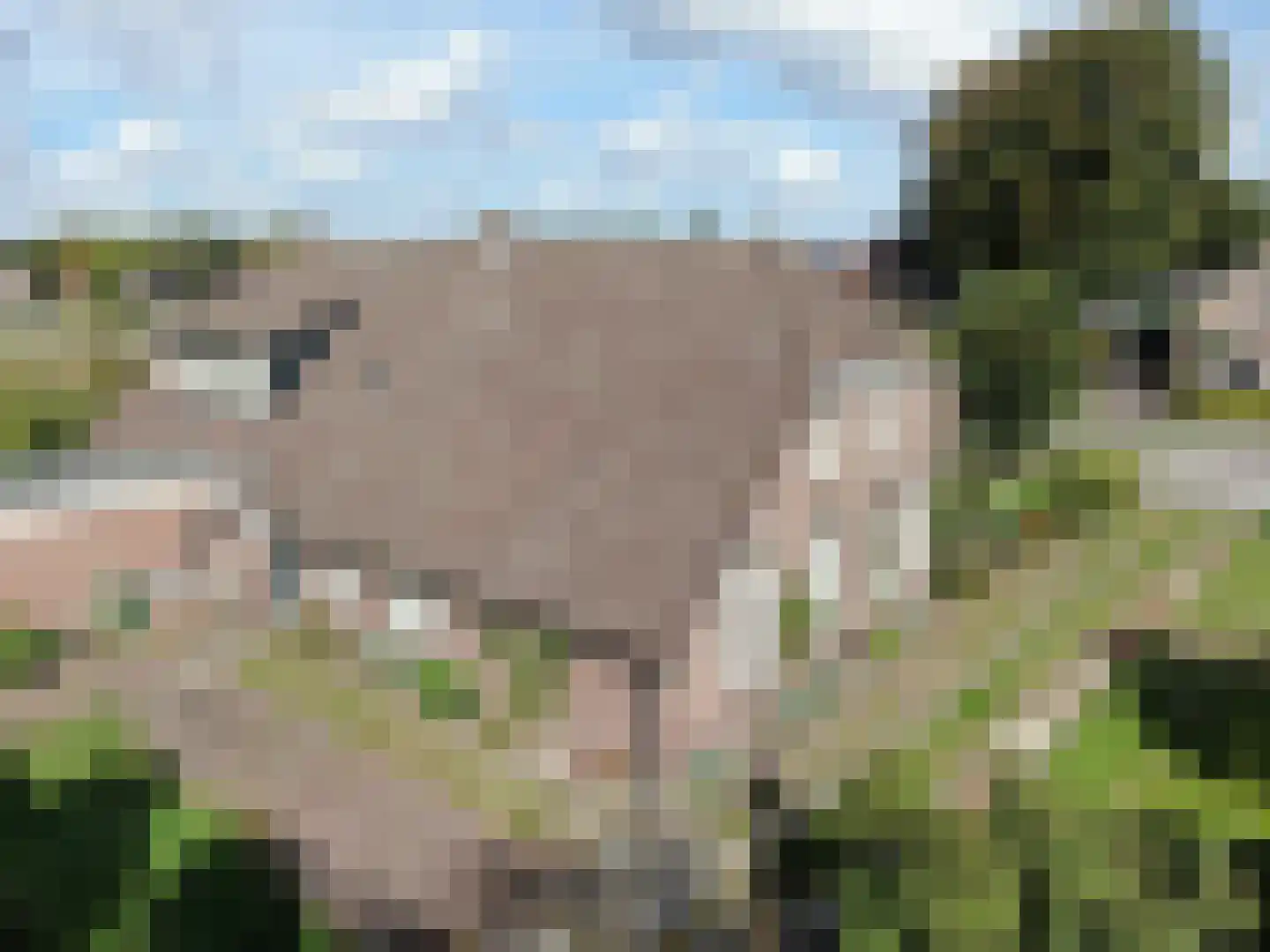 Oosterveldsestraat 136 Emmen thumbnail 24