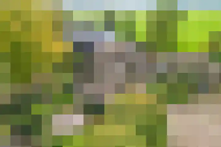 Oosterveldsestraat 182 Emmen