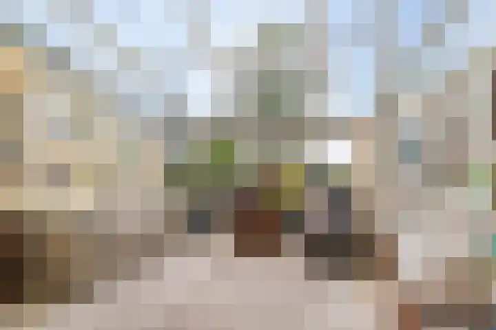 Oosterveldsestraat 182 Emmen thumbnail 24