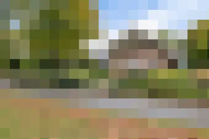 Oosterveldsestraat 182 Emmen thumbnail 5