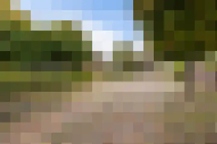 Oosterveldsestraat 182 Emmen thumbnail 6