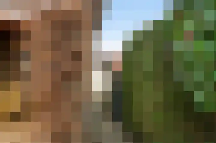 Oosterveldstraat 27 Heel thumbnail 24