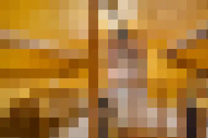 Oosterveldstraat 27 Heel thumbnail 33