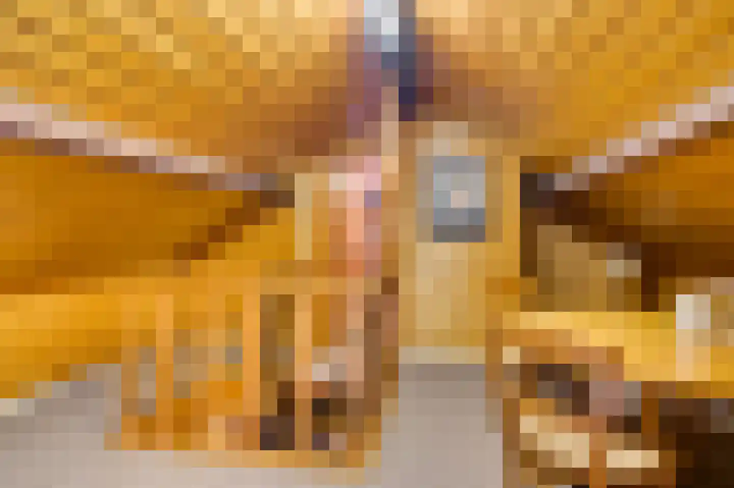 Oosterveldstraat 27 Heel thumbnail 34