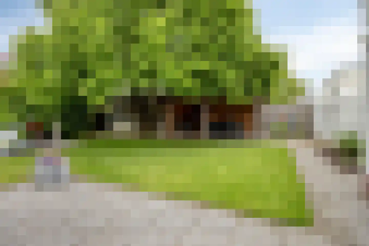 Oosterveldstraat 46 Heel thumbnail 44