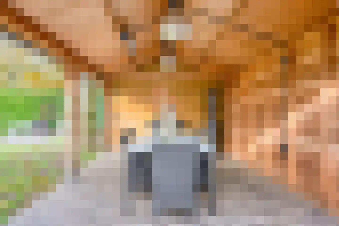 Oosterveldstraat 46 Heel thumbnail 46