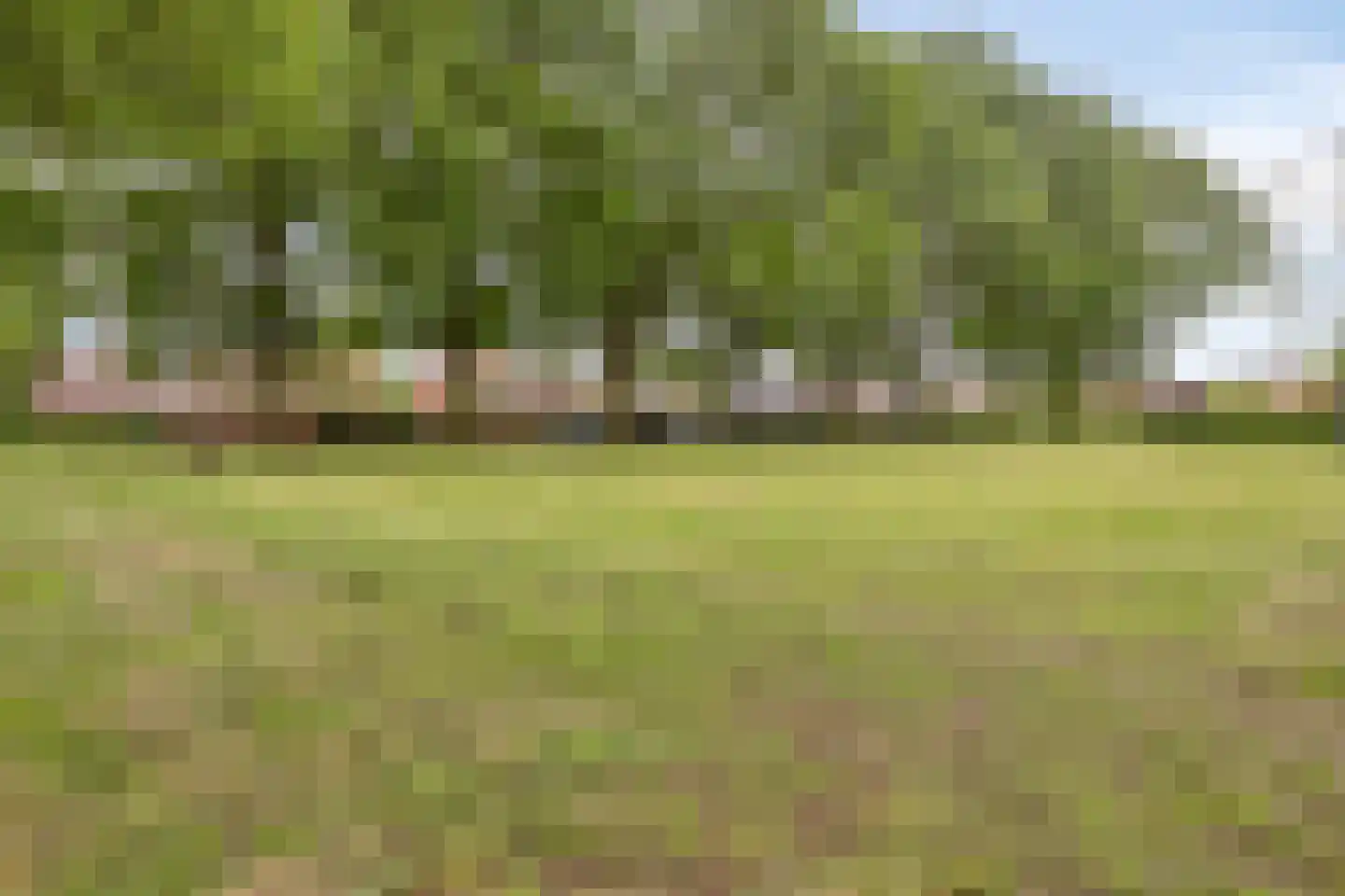 Oosterveldstraat 46 Heel thumbnail 50