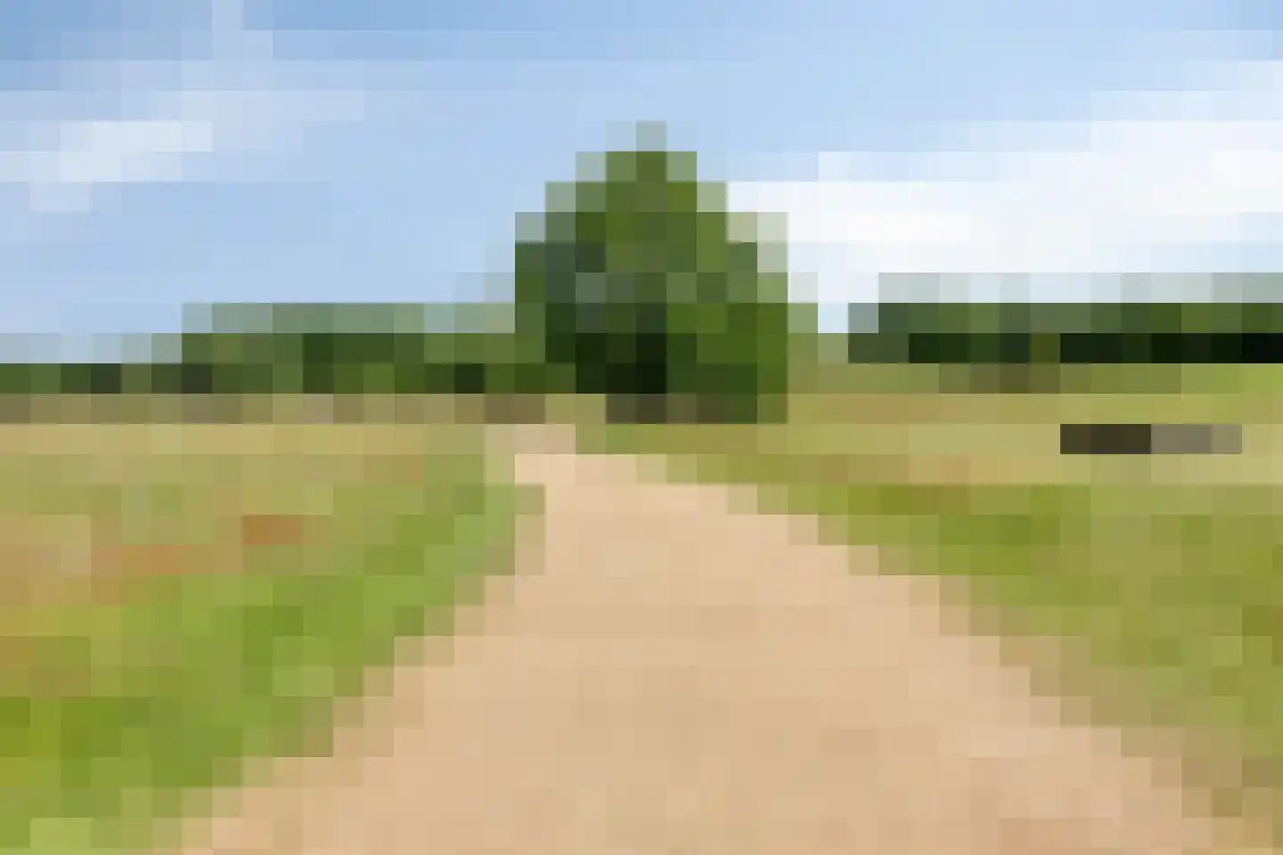 Oosterveldstraat 46 Heel thumbnail 52
