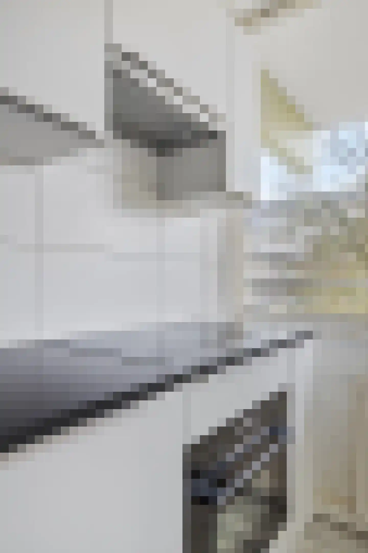 Oostervenne 216 Purmerend thumbnail 19