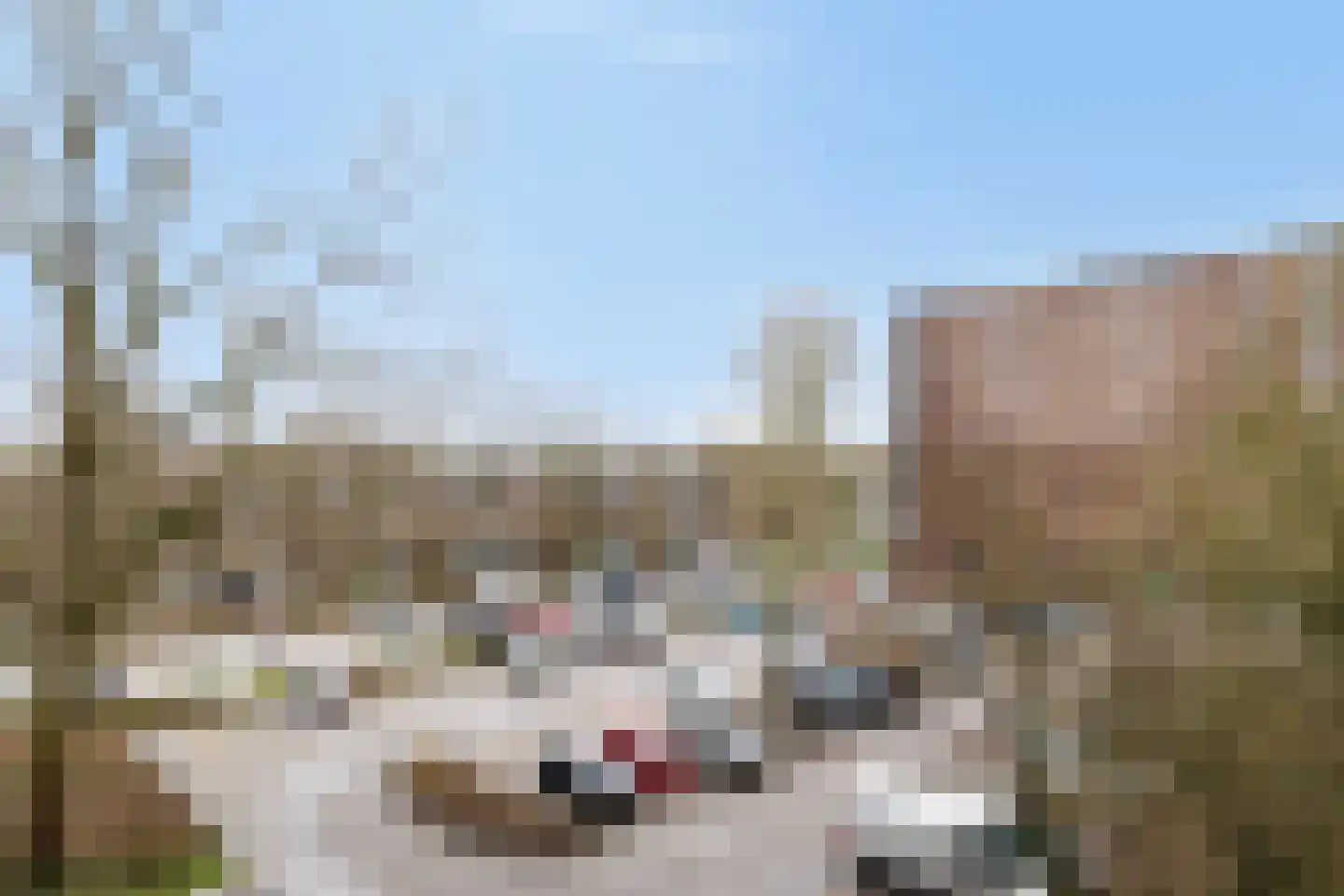 Oostervenne 216 Purmerend thumbnail 34