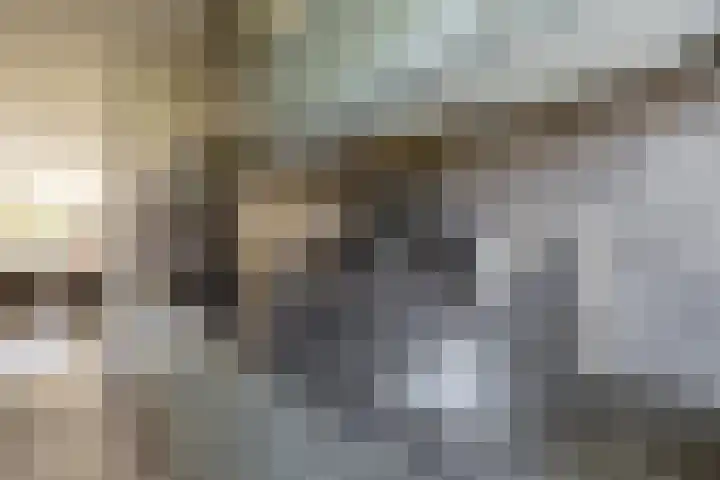 Oostervenne 220 Purmerend thumbnail 26