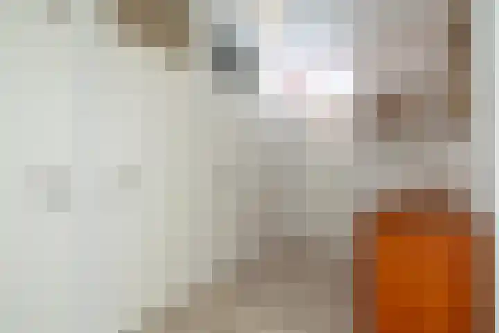 Oostervenne 220 Purmerend thumbnail 31