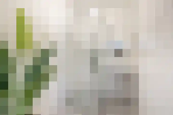 Oostervenne 220 Purmerend thumbnail 40