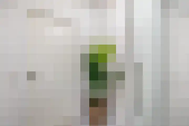 Oostervenne 220 Purmerend thumbnail 41