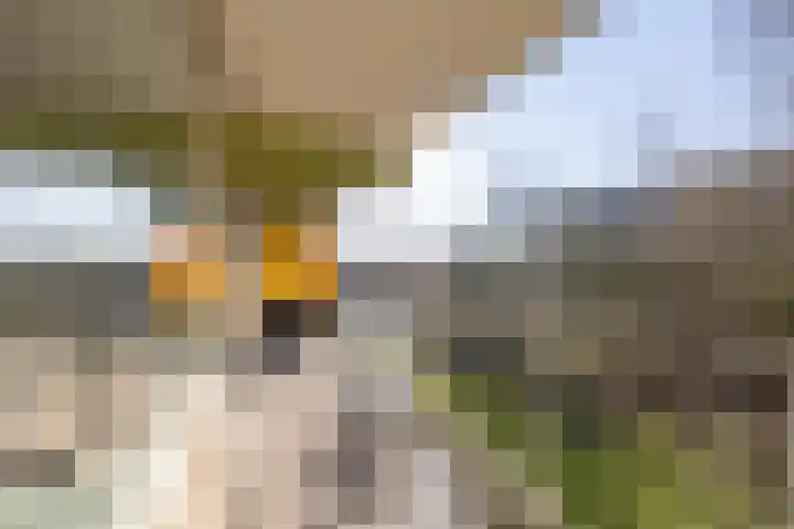 Oostervenne 220 Purmerend thumbnail 43