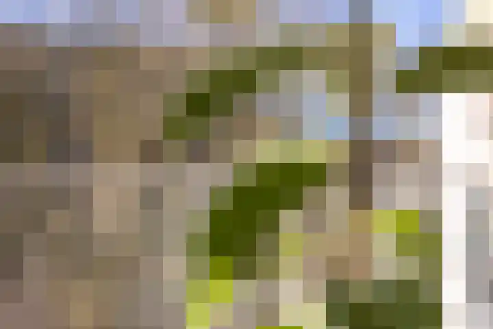 Oostervenne 220 Purmerend thumbnail 44
