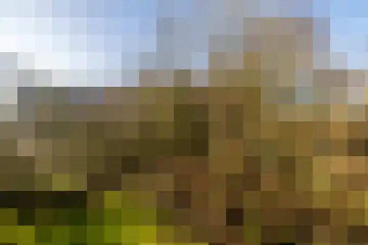 Oostervenne 220 Purmerend thumbnail 48