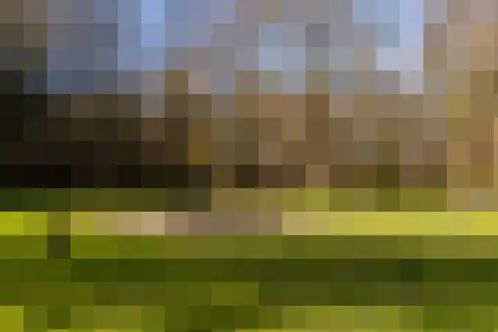 Oostervenne 220 Purmerend thumbnail 50