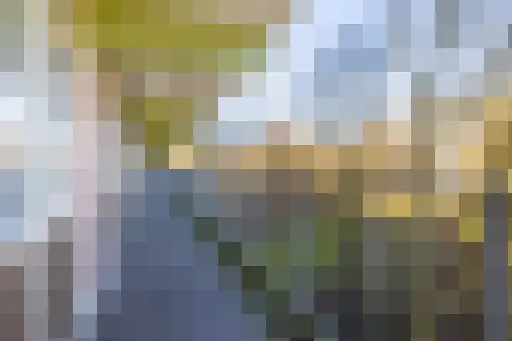 Oostervenne 220 Purmerend thumbnail 9