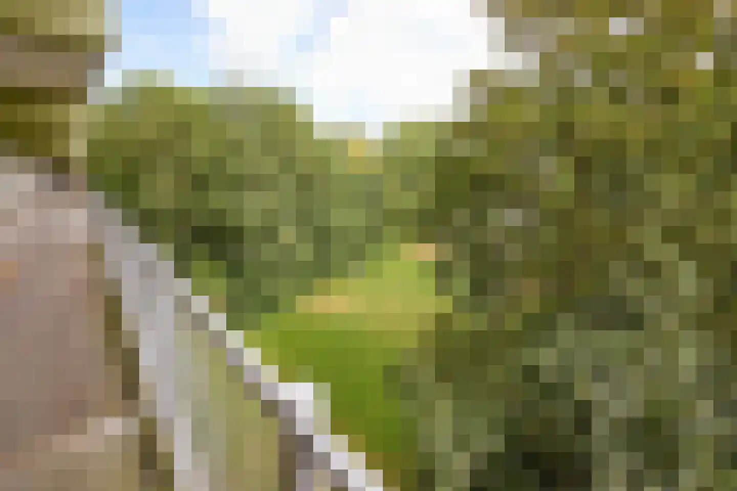 Oostervenne 223 Purmerend thumbnail 10