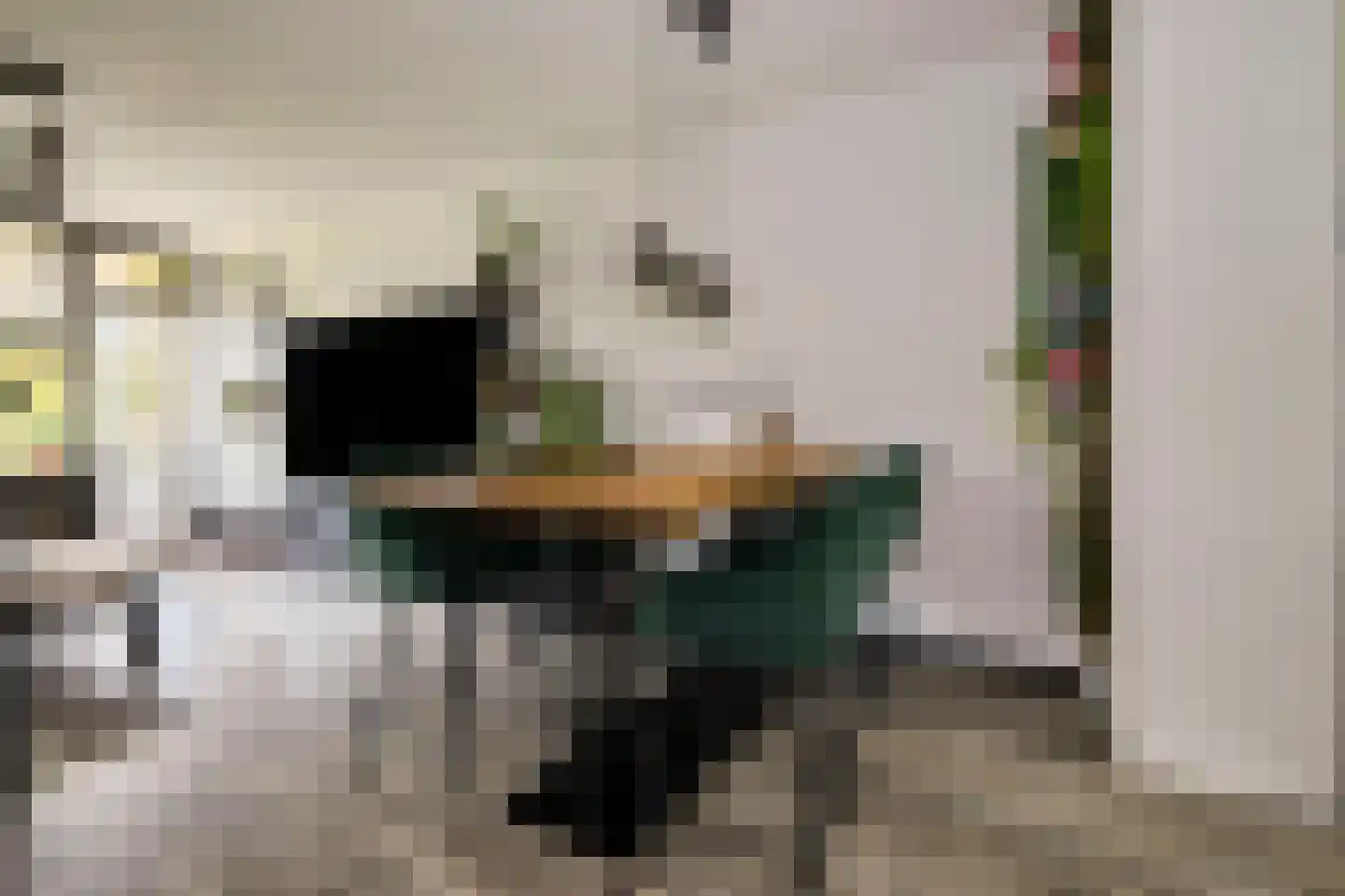 Oostervenne 223 Purmerend thumbnail 17