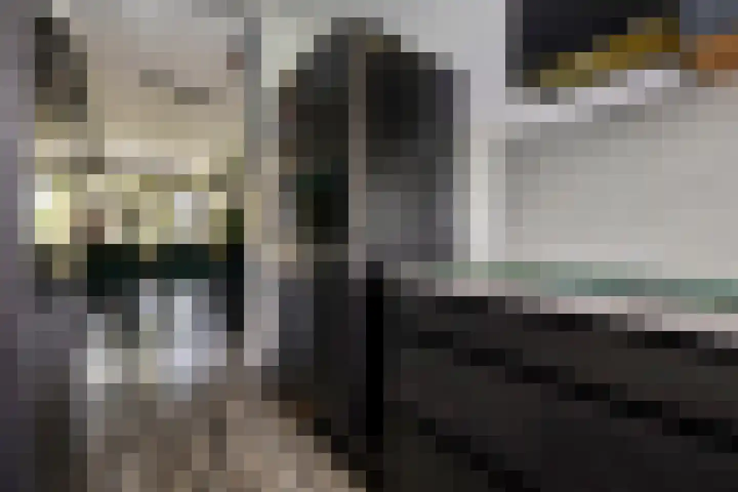 Oostervenne 223 Purmerend thumbnail 19