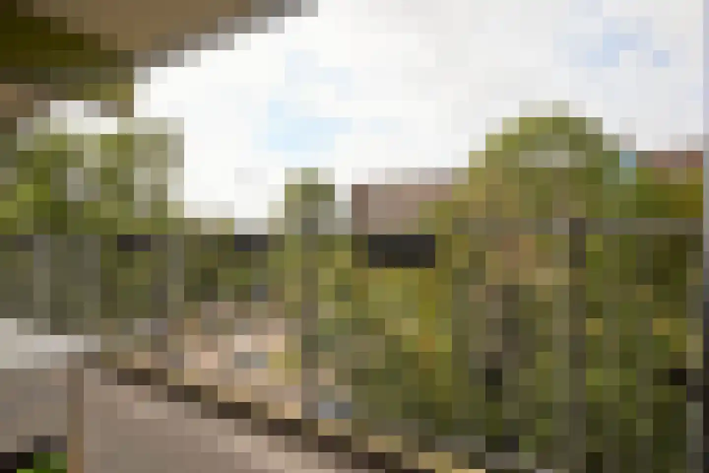 Oostervenne 223 Purmerend thumbnail 36