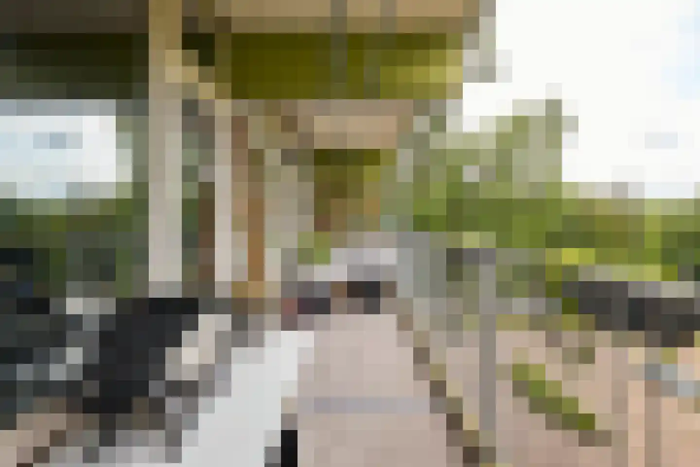 Oostervenne 223 Purmerend thumbnail 37