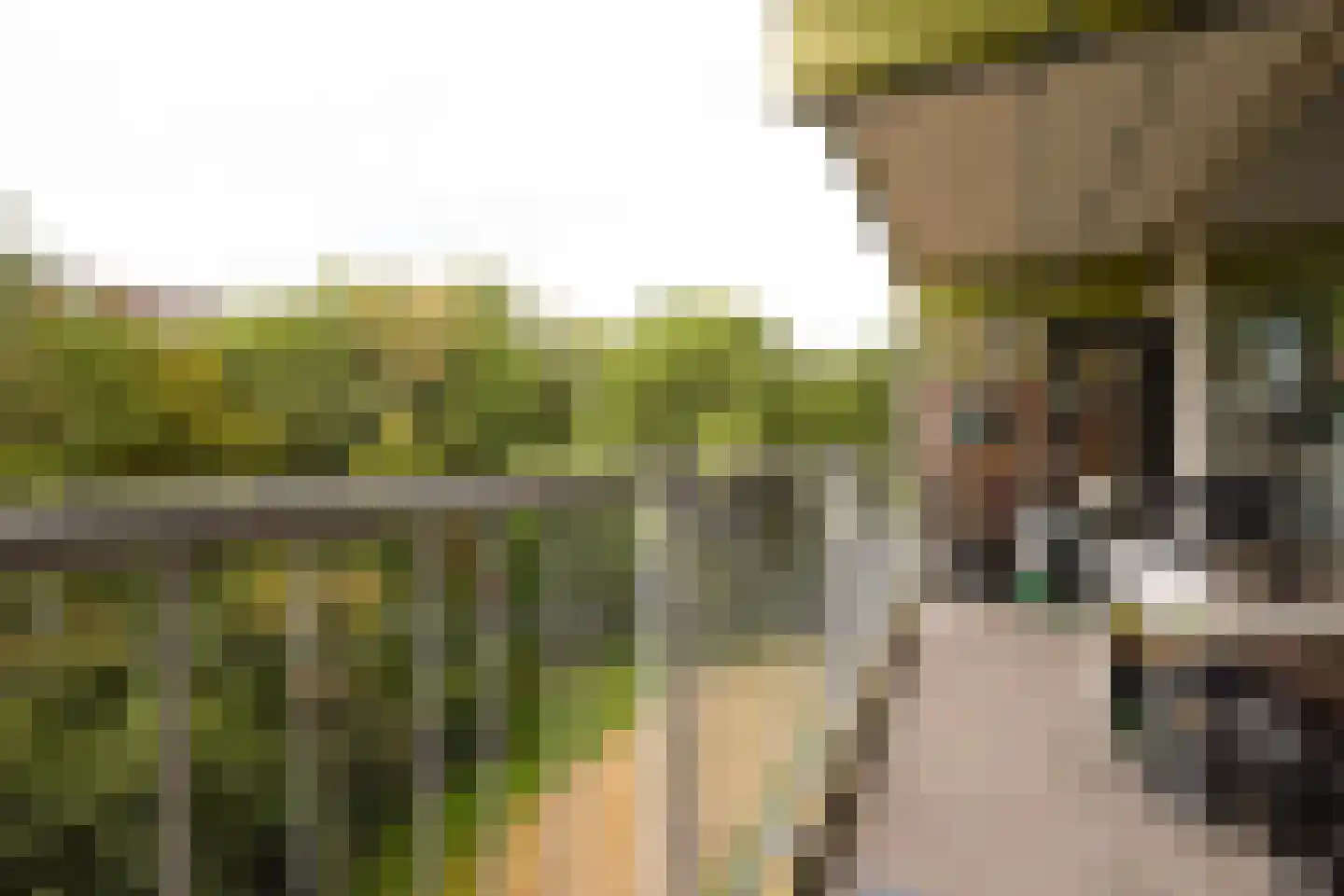 Oostervenne 223 Purmerend thumbnail 39