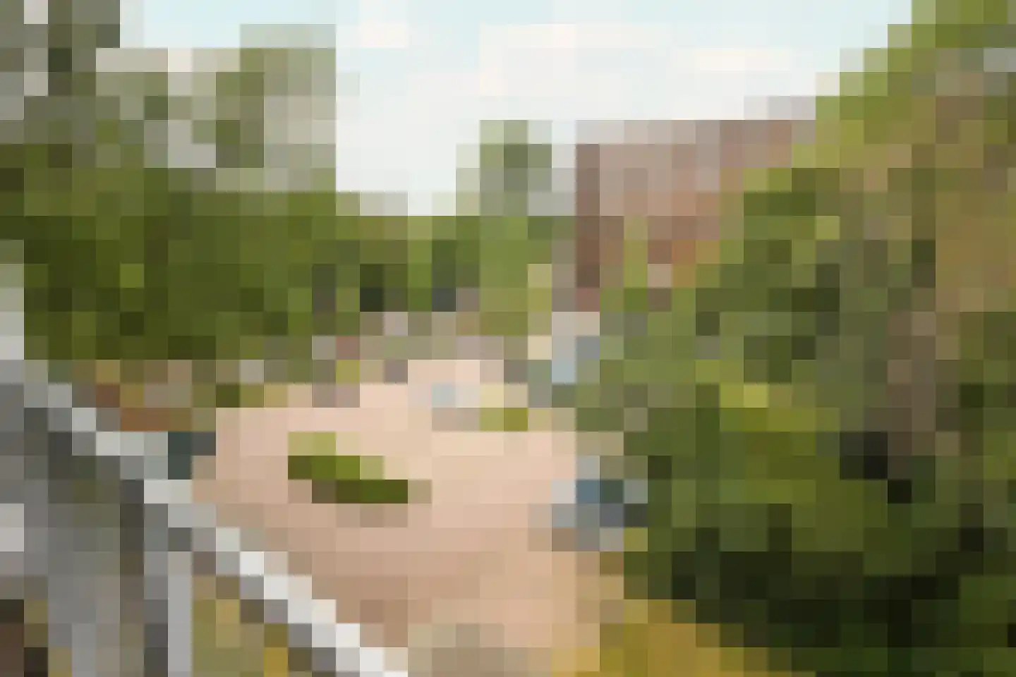 Oostervenne 223 Purmerend thumbnail 40