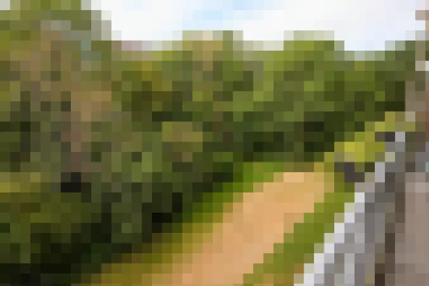 Oostervenne 223 Purmerend thumbnail 41