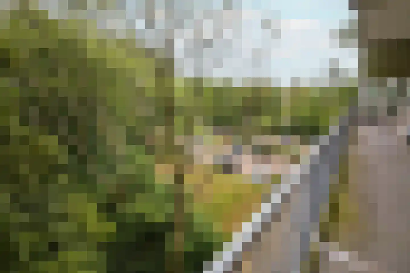 Oostervenne 223 Purmerend thumbnail 46