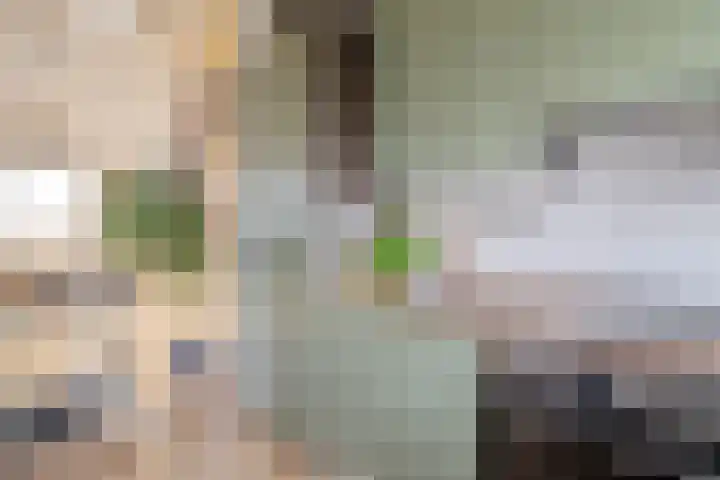 Oostervenne 254 Purmerend thumbnail 12