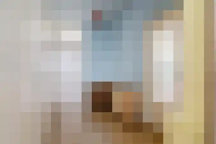 Oostervenne 254 Purmerend thumbnail 14