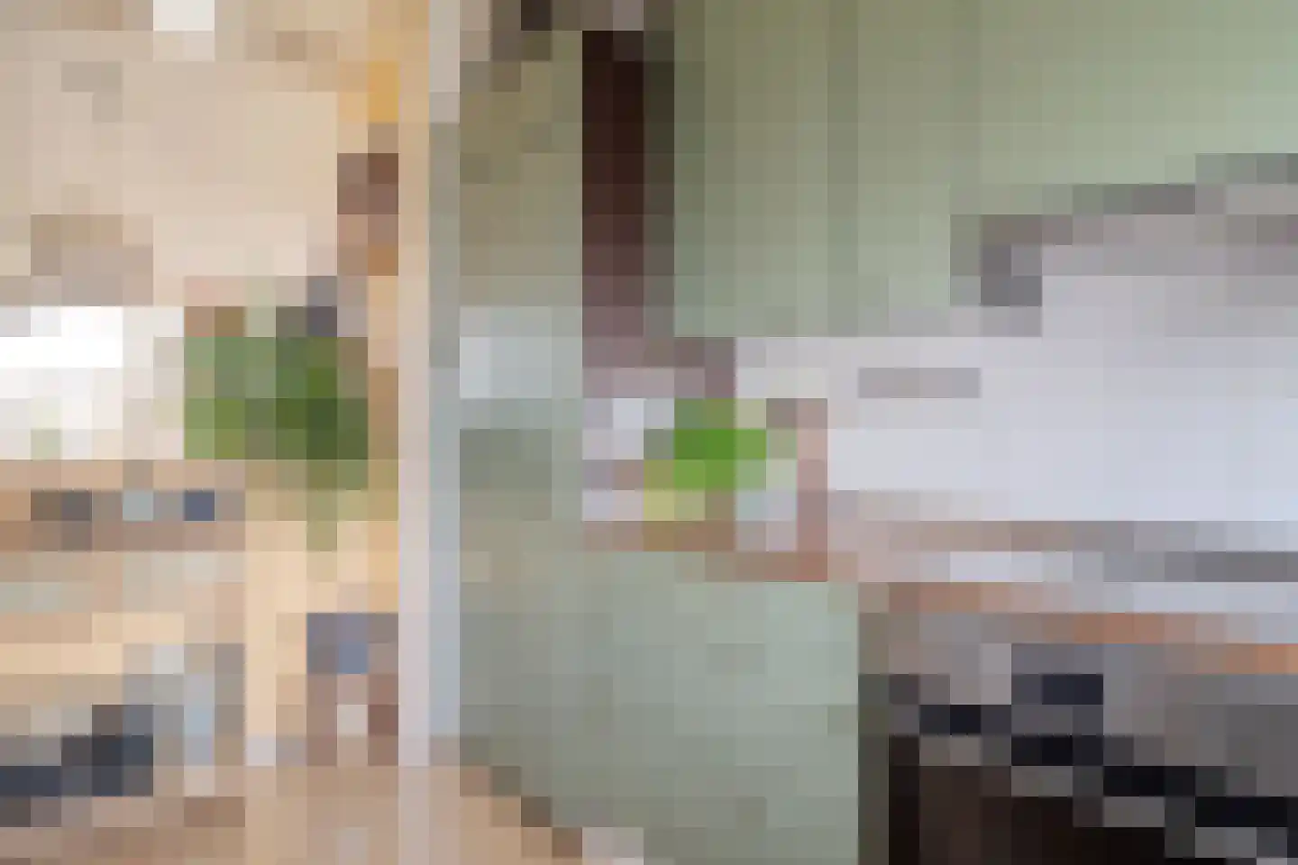 Oostervenne 254 Purmerend thumbnail 16