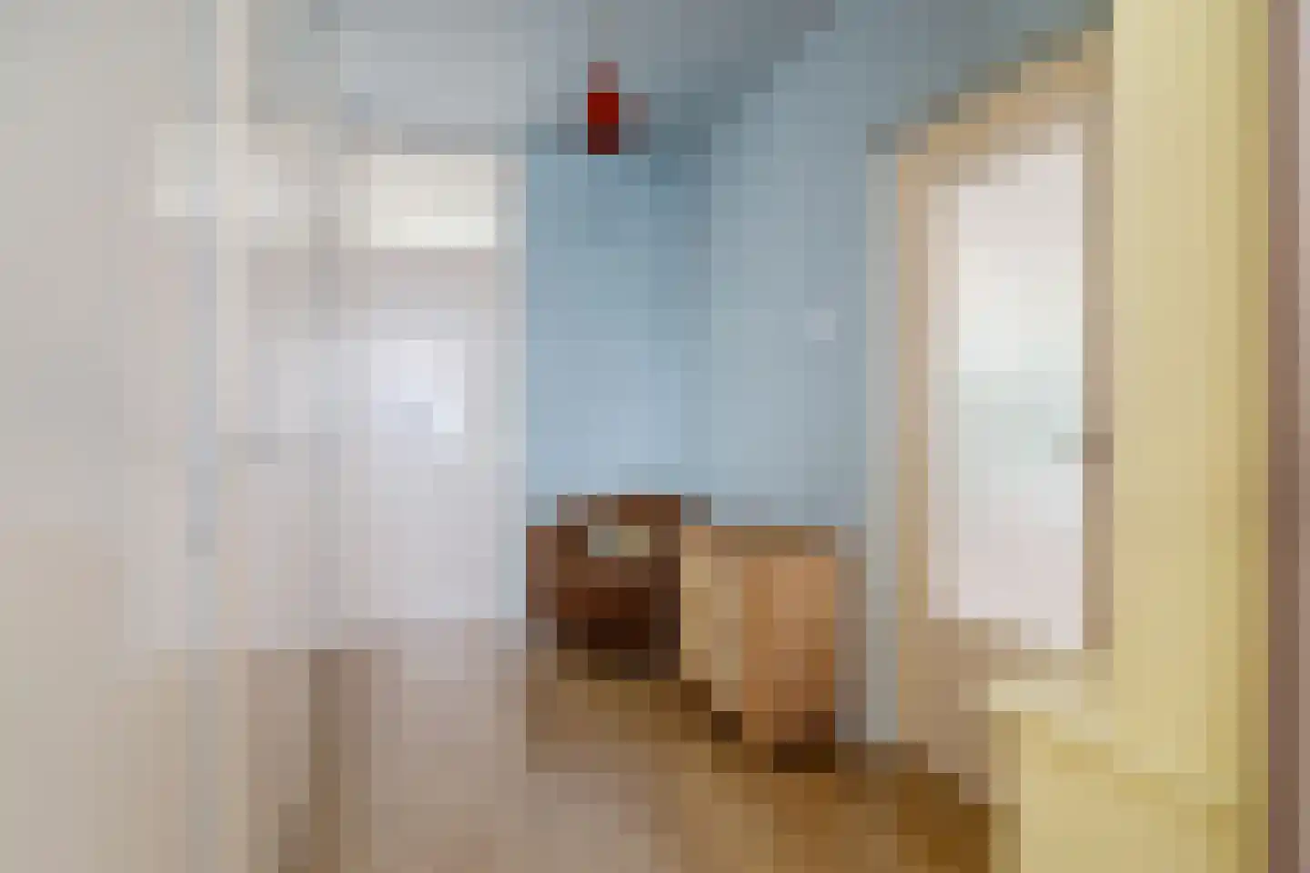 Oostervenne 254 Purmerend thumbnail 18