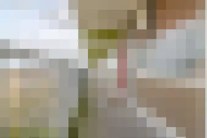 Oostervenne 254 Purmerend thumbnail 28