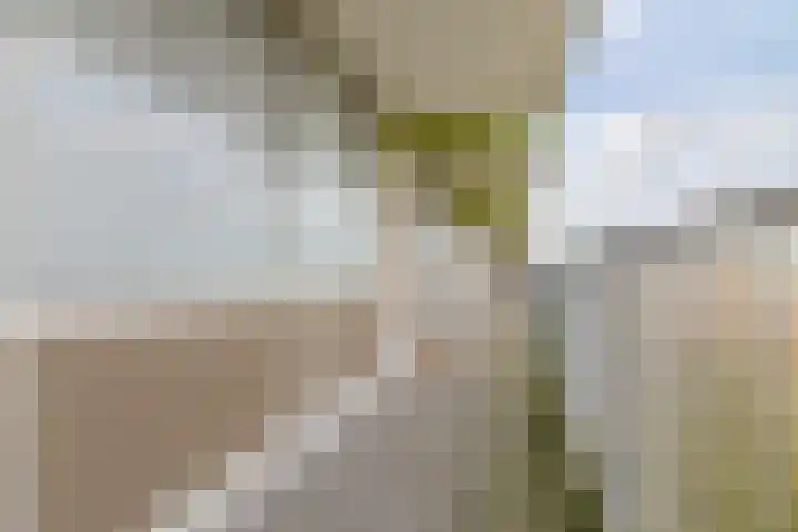 Oostervenne 254 Purmerend thumbnail 29
