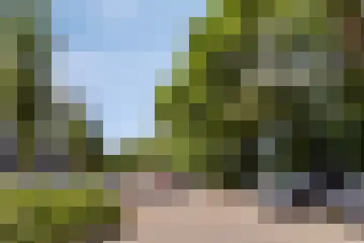 Oostervenne 301 Purmerend thumbnail 32