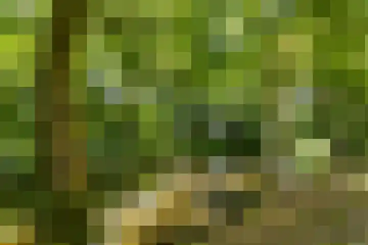 Oostervenne 301 Purmerend thumbnail 37