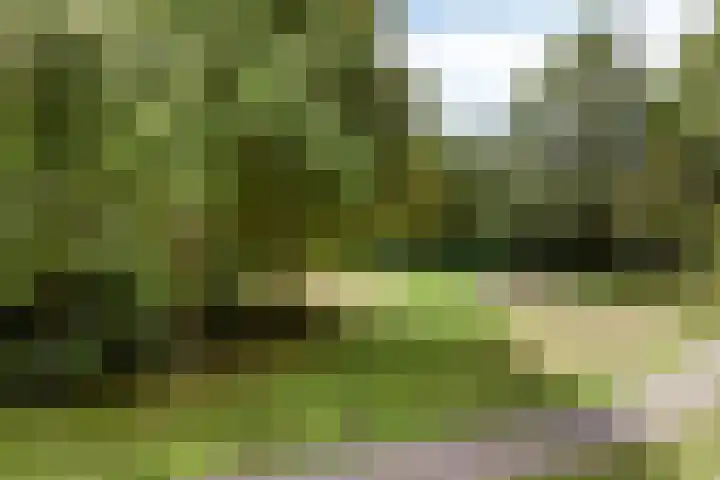 Oostervenne 301 Purmerend thumbnail 38