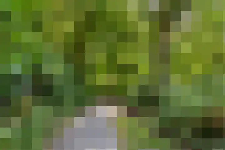 Oostervenne 301 Purmerend thumbnail 39