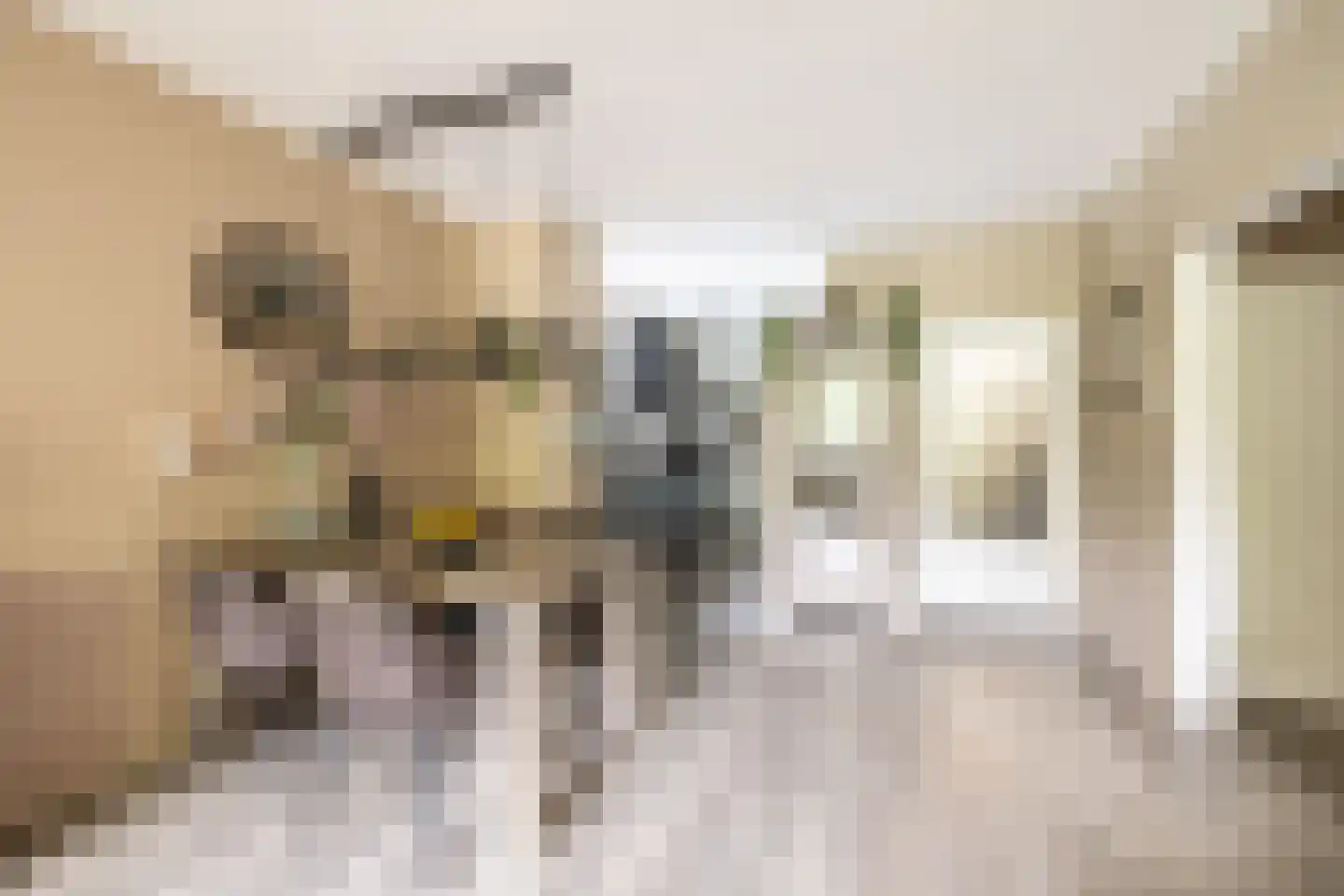 Oostervenne 314 Purmerend thumbnail 10