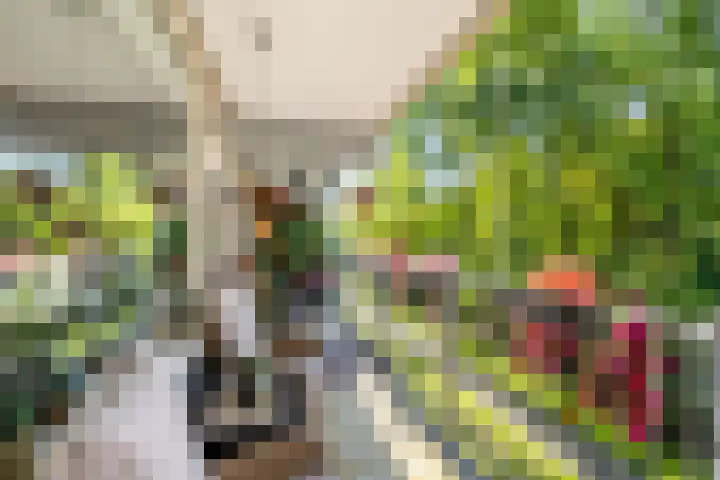 Oostervenne 314 Purmerend thumbnail 31