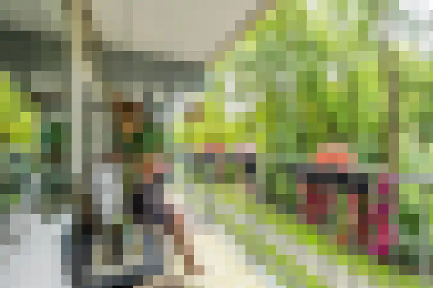 Oostervenne 314 Purmerend thumbnail 33