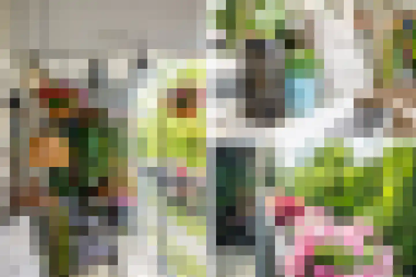 Oostervenne 314 Purmerend thumbnail 34