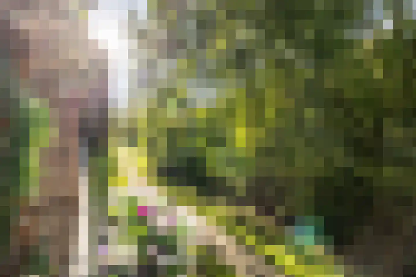 Oostervenne 314 Purmerend thumbnail 35