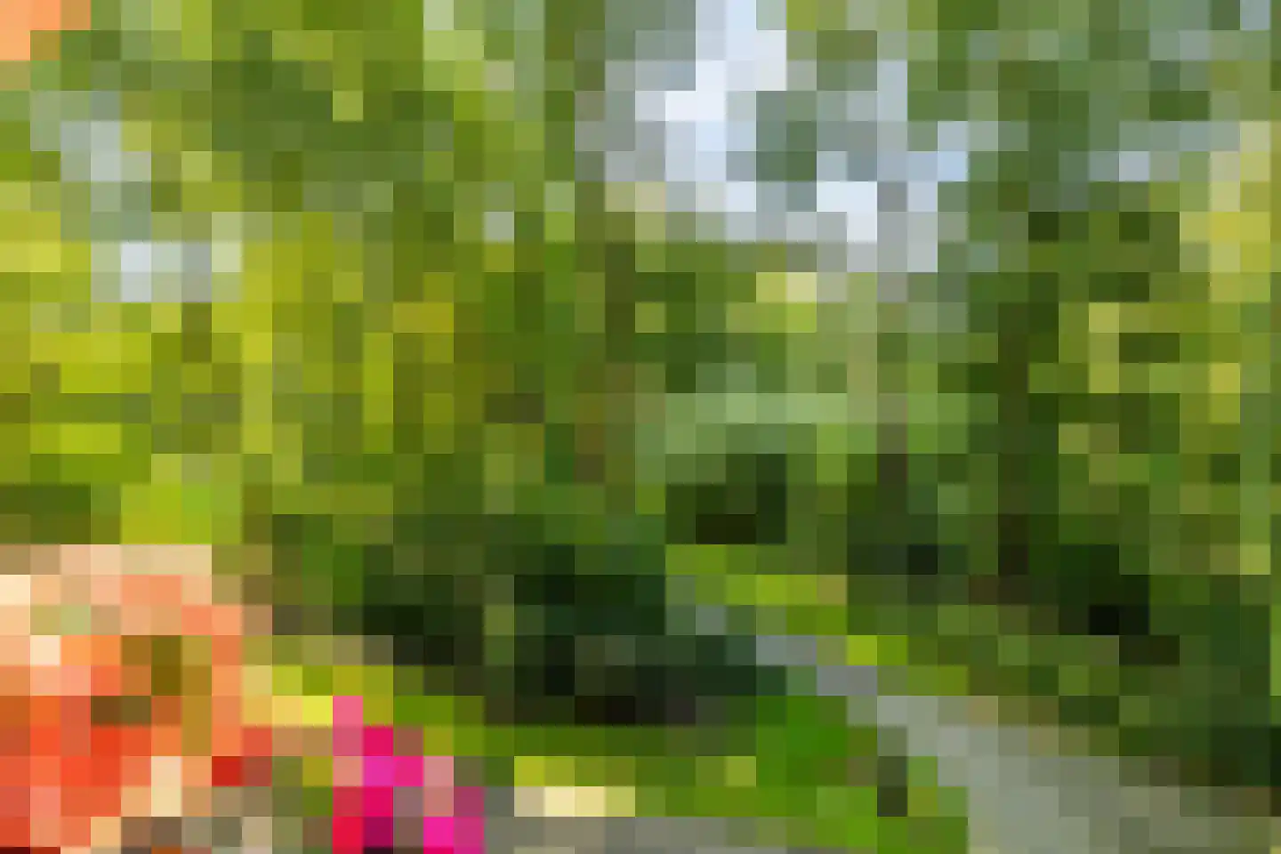 Oostervenne 314 Purmerend thumbnail 37